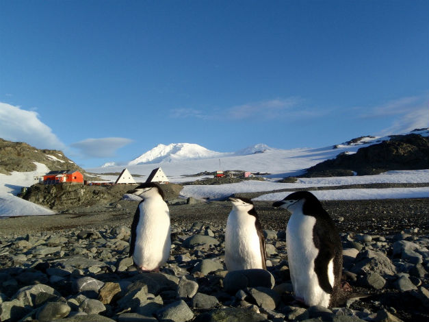 За поредната експедиция до Антарктида нашите полярници ще пътуват с... платноходка