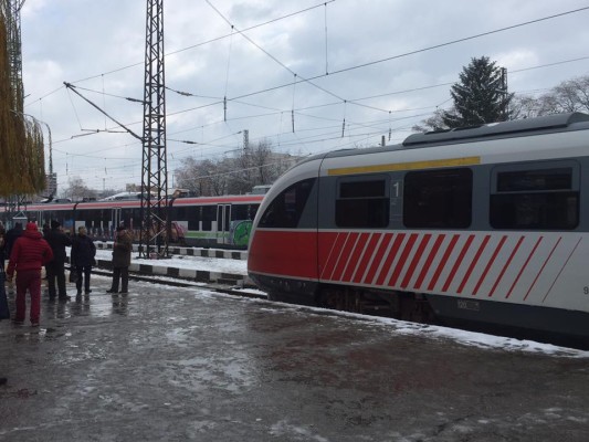 Паднали клони спряха влаковете от София за Перник
