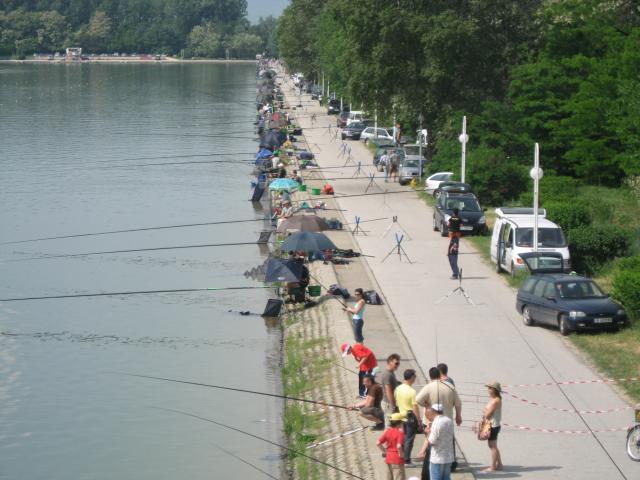 В Пловдив ловят риба за Никулден директно от Гребния канал