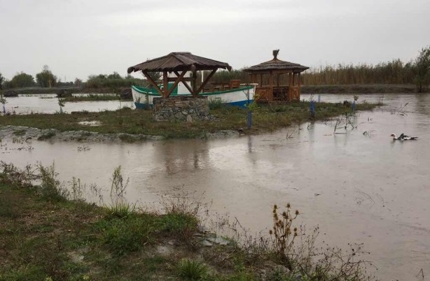 Животновъдите, пострадали от наводненията в Бургаско, получиха помощите от фонд „Земеделие"