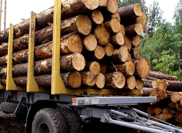 Извозването на дървесината ще се следи с GPS в реално време