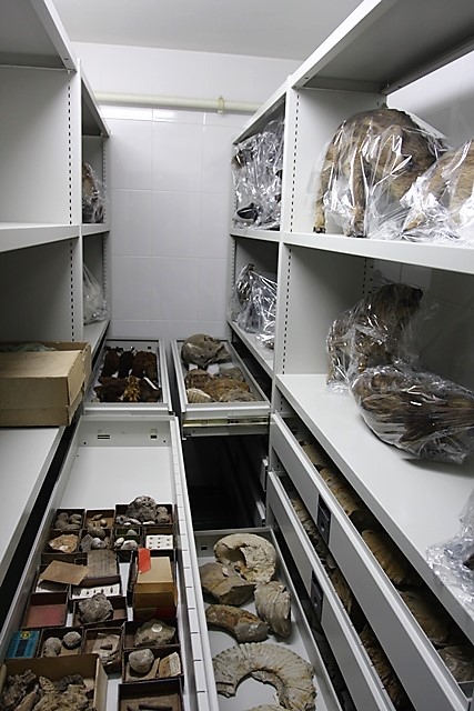 Екомузеят в Русе се сдоби с подвижни архивни стелажи