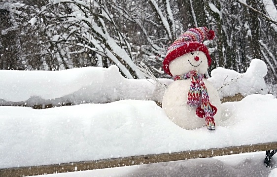 Зимните ни курорти ще посрещнат атрактивно Световния ден на снега