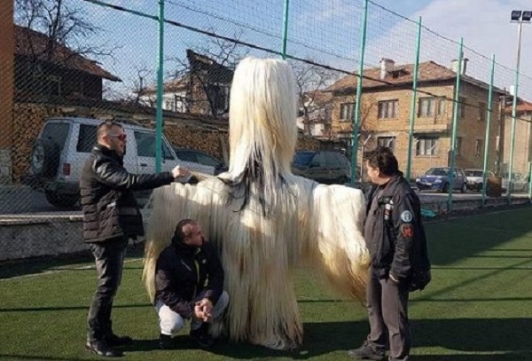 Българин, работещ в Испания, си купи за 22 хиляди лева кукерски костюм, кандидат за Гинес