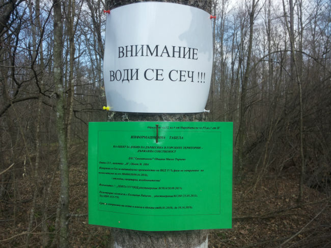 Извънредно: РДГ-Бургас прати целия си наличен състав да проверява горите в Странджа (ОБНОВЕНА, СНИМКИ)