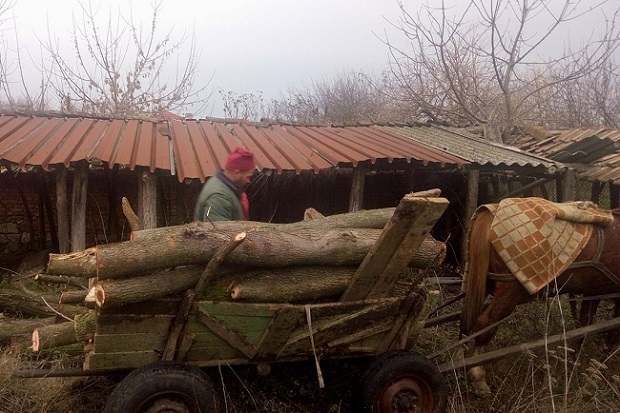 Задържаха каруца с незаконно добити дърва за огрев