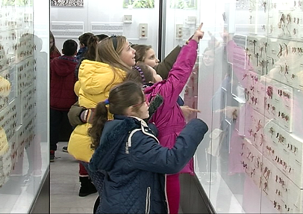 Деца се тълпят пред новите витрини на природонаучния музей в Бургас