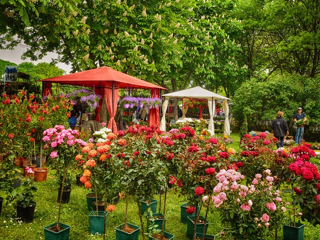 Голям интерес към тазгодишното цветно изложение "Флора" в Бургас