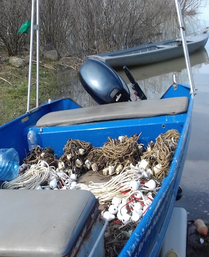 Само за седмица край Козлодуй  засякоха няколко случая на незаконен улов в Дунав
