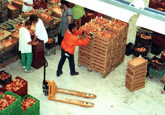 Министърът на икономиката сменя земеделския министър в „Пазар за плодове, зеленчуци и цветя“