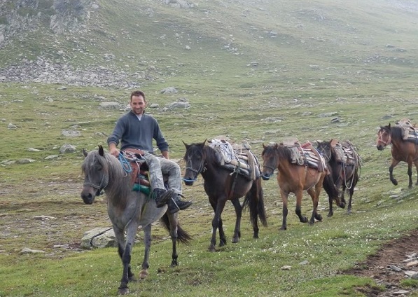 В Кюстендилско установиха още нарушения при отглеждането на коне