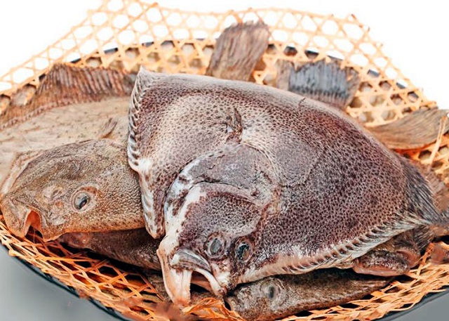 Неизвестни бракониери наловиха край Дуранкулак 54 кг калкан
