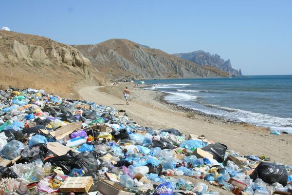 До 2050 г. в световния океан ще има повече пластмаса, отколкото риба