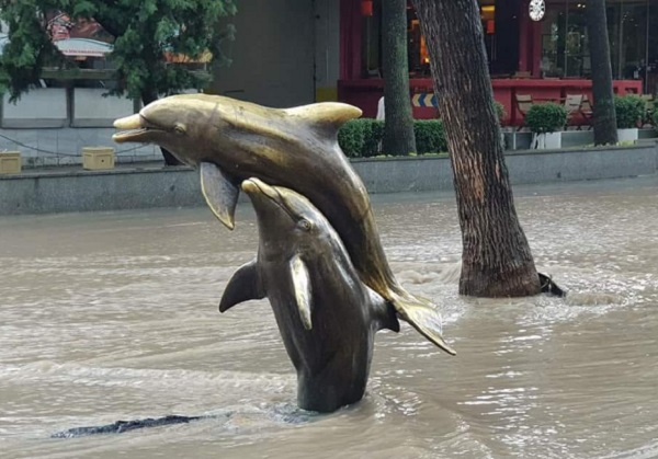 Куриоз: Във Варна заплуваха... бронзови делфини