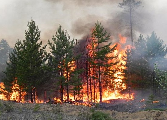 Над 2300 горски служители са в готовност да реагират при пожари