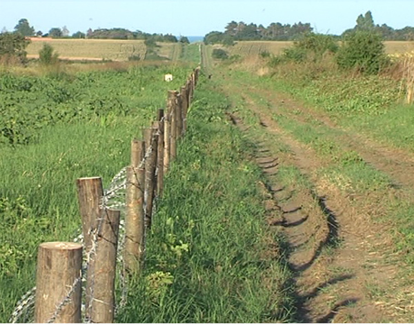 Само за две седмици: Изградени са 110 километра от оградата по границата ни с Румъния