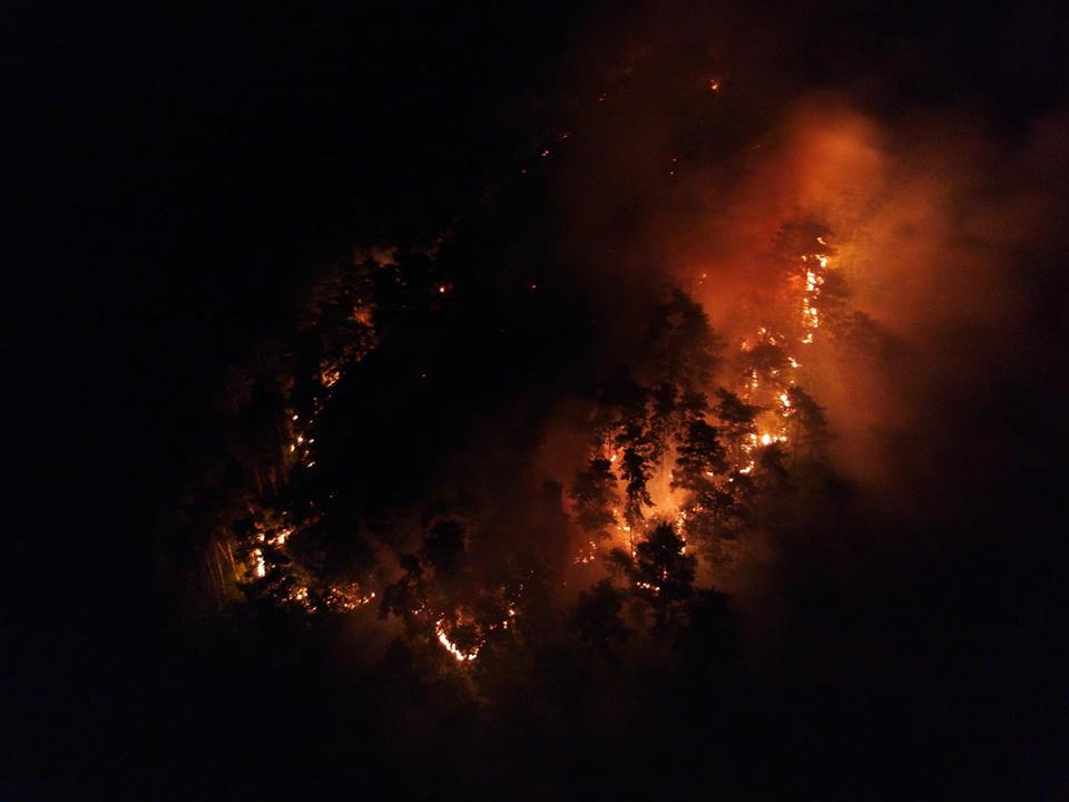Пожарът, обхванал десетки декари борова гора над Карлово, вече е локализиран