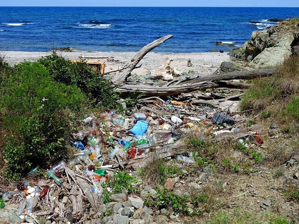 Организират акция за почистване на плажовете на юг от Синеморец