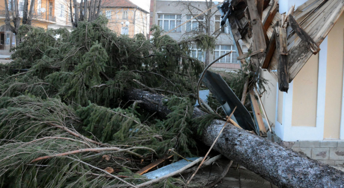 Над 3000 домакинства в страната са без ток заради бурния вятър