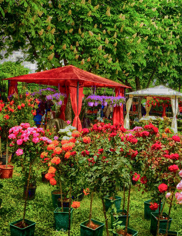 Цветният базар "Флора Есен" ще изпъстри Бургас