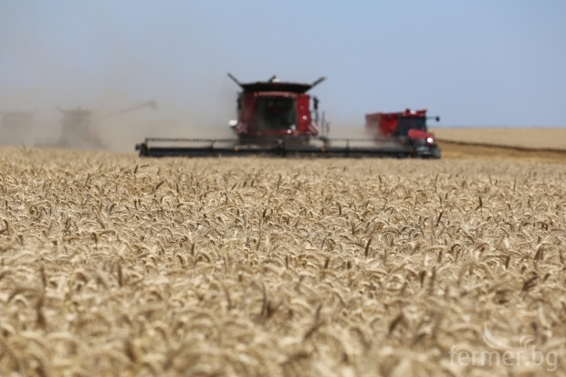 Министерски съвет с важна информация за производителите на зърно