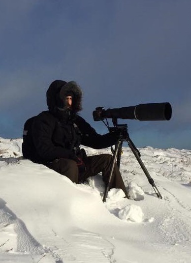 Българин кандидатства за експедиция в Арктика, за да снима полярна лисица и бяла мечка