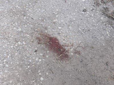 Очевидец на циганското нападение във Войводиново: Беше жесток побой! Още съм в шок!