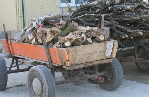 Задържаха край Луковит 10 каруци с 10 кубика незаконни дърва