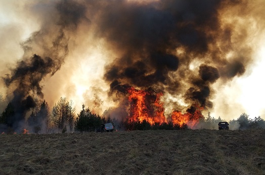 За първите дни на март само в Югозападна България са регистрирани 21 пожара