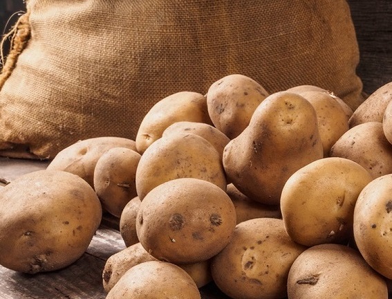 Родопският картоф изчезва от пазара