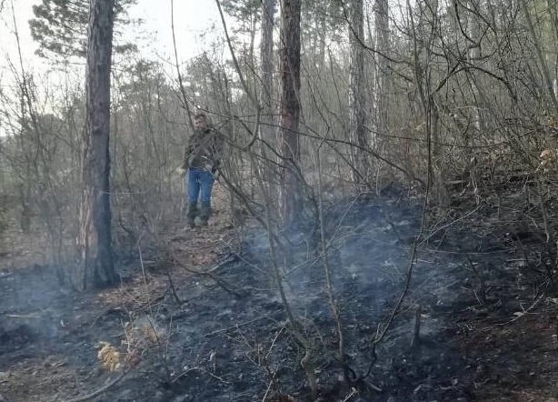 Потушен е пожар в Карловския Балкан