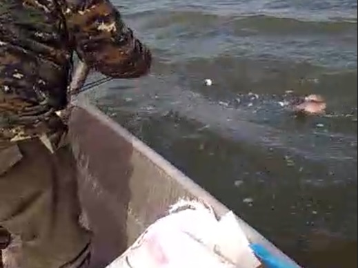 Инспектори извадиха от езерото Дуранкулак 400 м бракониерски мрежи