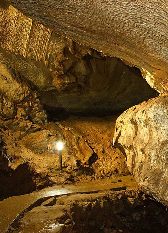Отварят за посетители бисерът на Шуменското плато - пещера „Бисерна"