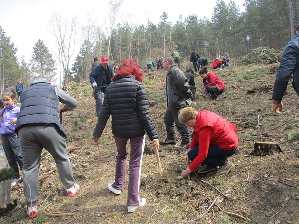 Прокурори залесяваха мястото на изпепелена гора край трънско село