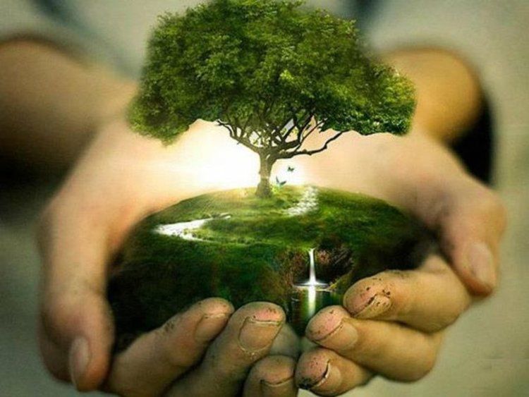 Учени от БАН ще засадят 150 дървета в Деня на Земята