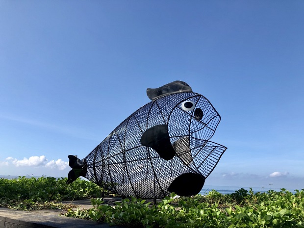 Рибите по света и у нас, които се „хранят" с пластмасови отпадъци