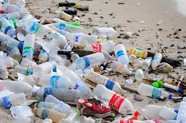 Колко пластмаса попада в човешкия организъм