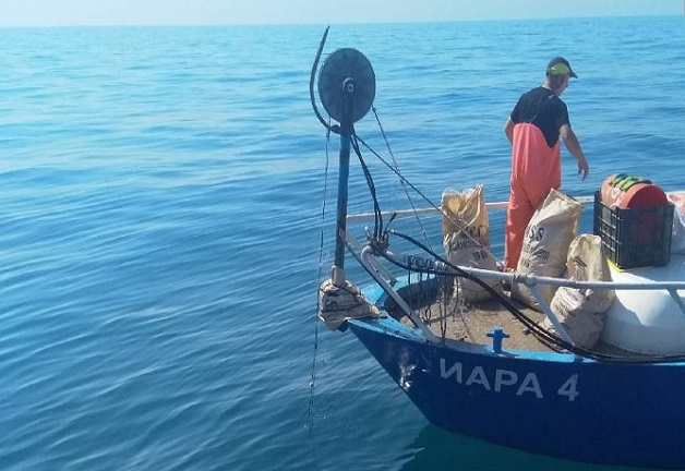 Риболовни инспектори дебнат за незаконен улов на бяла пясъчна мида