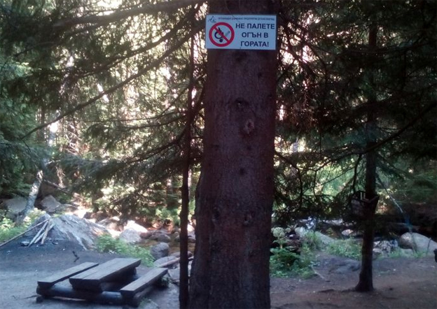До ноември в горските територии е забранено да се пали огън