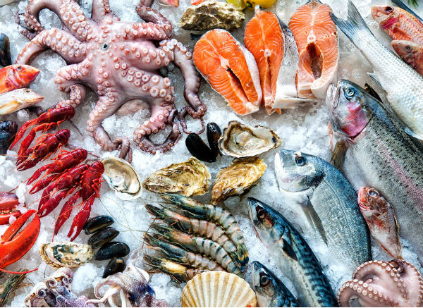 Състоянието на рибните запаси в Световния океан е драматично