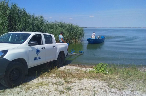 Служители на ИАРА върнаха в езеро Вая 20 кг шаран, уловен от бракониери