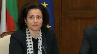 Десислава Танева призна за пропуски в мерките за справянето с чумата по свинете