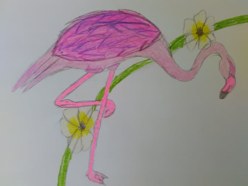 Розовото фламинго влезе в детски рисунки (СНИМКИ)