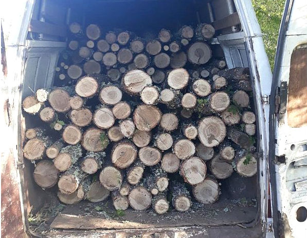 Граничари и горски инспектори задържаха товарен автомобил с дървесина