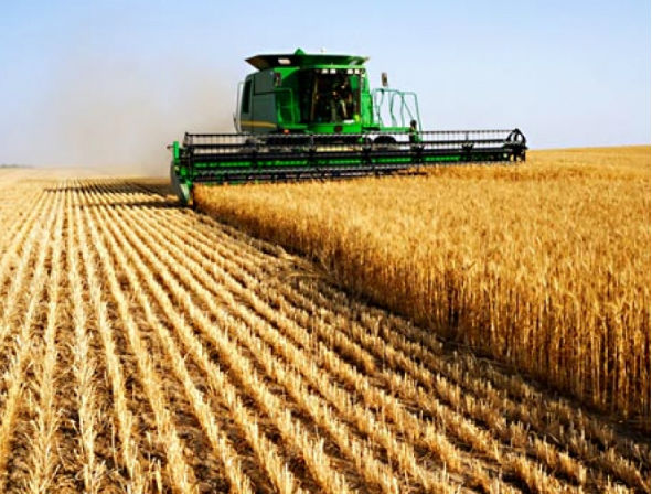 ДФ "Земеделие" с важна информация за селскостопанските производители