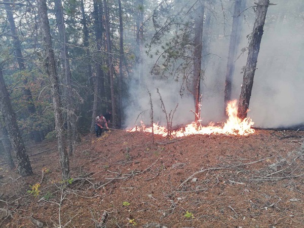 Военнослужещи се включиха в гасенето на пожарите в Стара планина и Рила