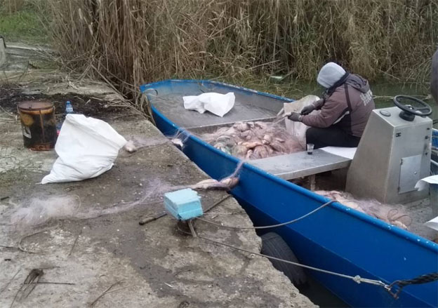 Продължават мащабните проверки преди Никулден за бракониерски улов на риба