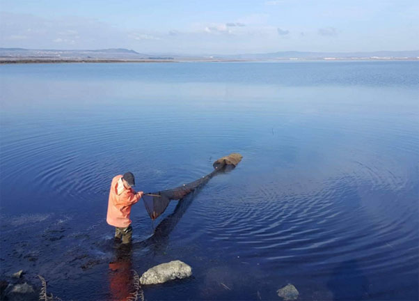 В Поморийското езеро засякоха незаконно поставени уреди тип „винтер“