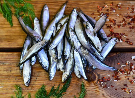 Ограничават през 2020 г. риболова в Черно море на цаца и калкан