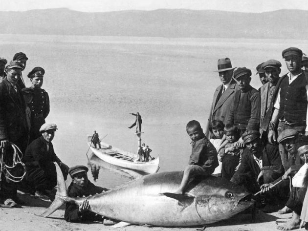 Цената на рибата – днес и преди 86 години